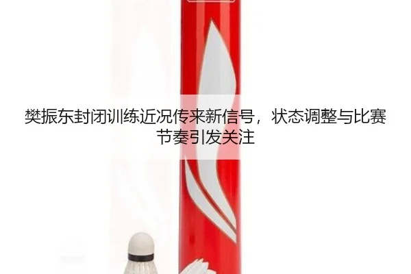 樊振东封闭训练近况传来新信号，状态调整与比赛节奏引发关注